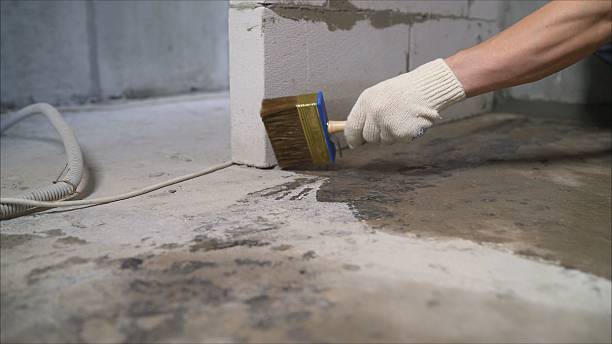 SJ Waterproofing Pros Waterproofing coverage map for Whitestown, IN and surrounding area